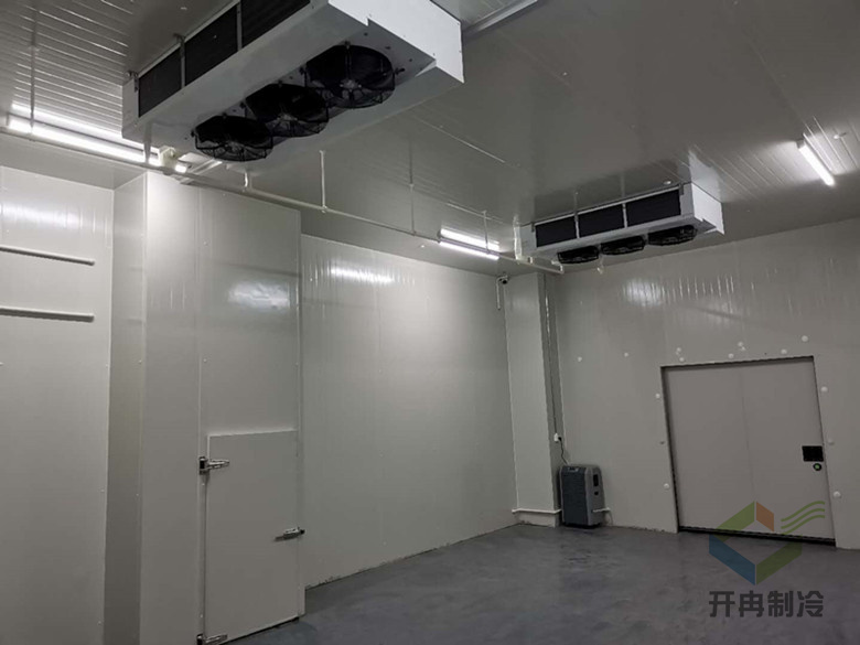 建造醫(yī)用試劑冷藏庫安裝費用價格需要多少？
