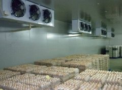 建一個冷庫，用來存50噸雞蛋要多少錢