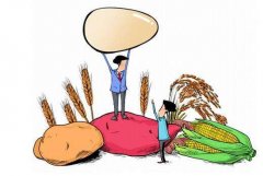 農(nóng)產(chǎn)品冷庫設計方案內(nèi)容
