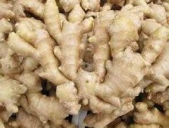 建個(gè)1000噸生姜冷庫(kù)大概需要投資多少錢？