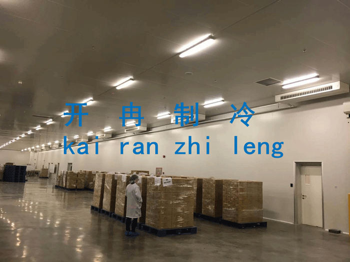 上海食品加工廠速凍冷庫(kù)
