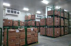 1500噸食品冷凍庫設(shè)計，制冷設(shè)備大概需要多少錢