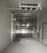 5000m3冷鏈物流工程建設(shè)，低溫物流倉庫安裝制冷設(shè)備投資預(yù)算